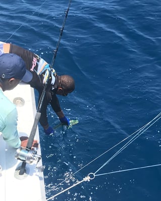 Full Day Marlin Fishing Trip