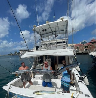Full Day Marlin Fishing Trip