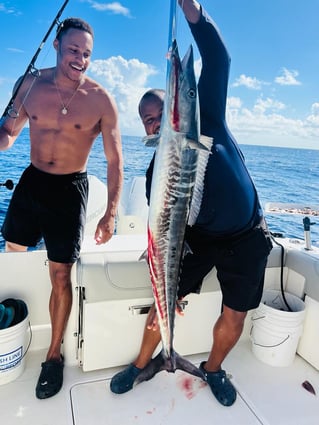 Half Day Deep Sea Fishing 