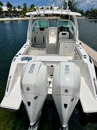 Half Day Deep Sea Fishing 