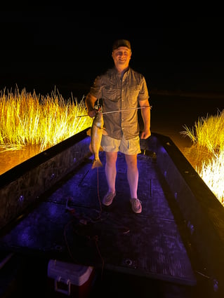Marsh Monster
