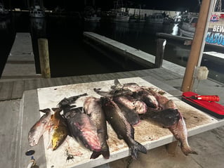 Marsh Monster