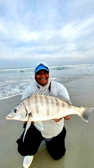 Edible Fishing
