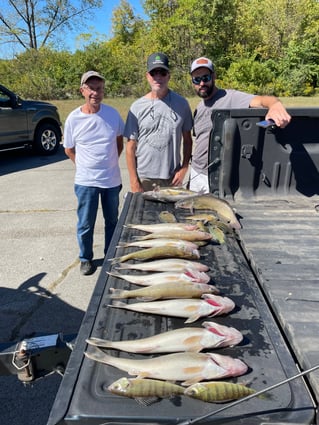 Isaacs Guiding Servive