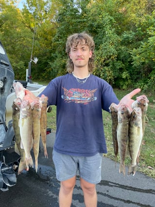 Isaacs Guiding Servive