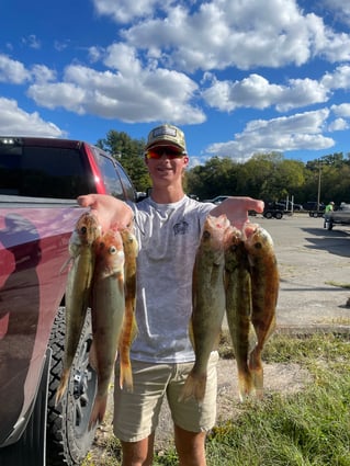 Isaacs Guiding Servive