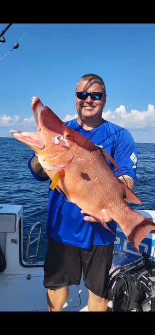 Offshore Fishing At Its Best