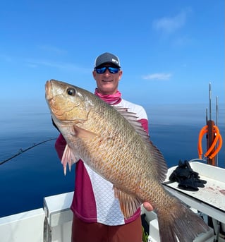 Offshore Fishing At Its Best
