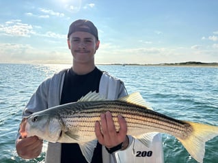 3-8 Hours Sportfishing Trip