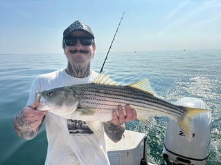 3-8 Hours Sportfishing Trip