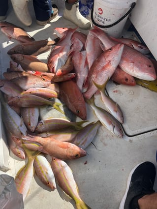 Deep Sea Offshore Fishing