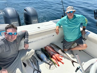 Destin Bottom Fishing And Trolling