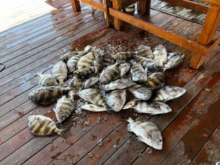 Inshore Redfish And Trout