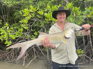 Cairns Estuary AM Charter