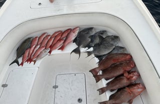 4-10 Hour Fishing Trip