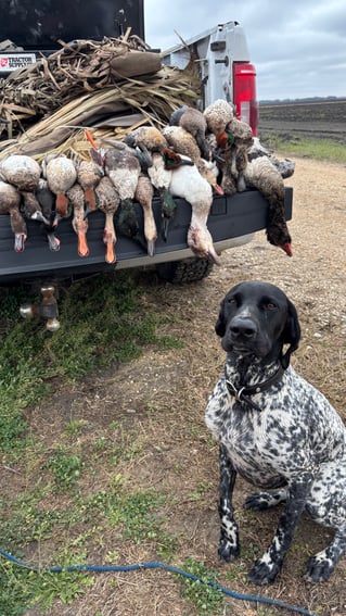 Coastal Prairie Waterfowl Hunt🌾🦆
