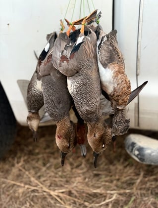 Coastal Prairie Waterfowl Hunt🌾🦆