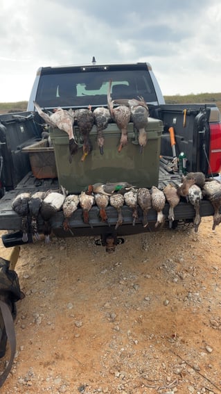 Coastal Prairie Waterfowl Hunt🌾🦆