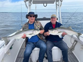 Fly Fishing / Light Tackle 