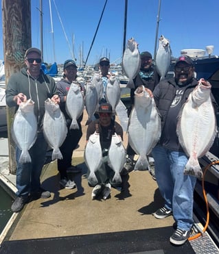 Lets Go Halibut Fishing 