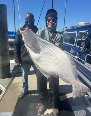 Lets Go Halibut Fishing 