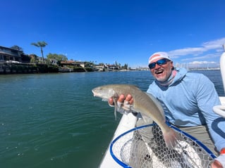 San Diego Bay Fly Fishing