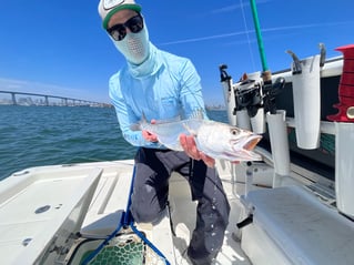 San Diego Bay Fly Fishing