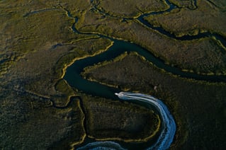 Sightfishing North Carolina