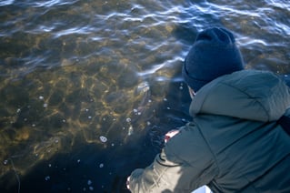 Sightfishing North Carolina