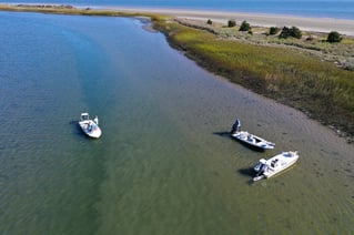 Sightfishing North Carolina