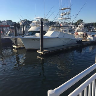 Fluke, Bluefish, & Stripers Fishing