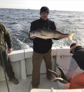 Fluke, Bluefish, & Stripers Fishing