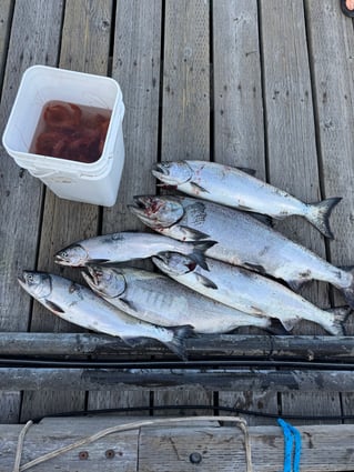 4 Hour Fishing Trip