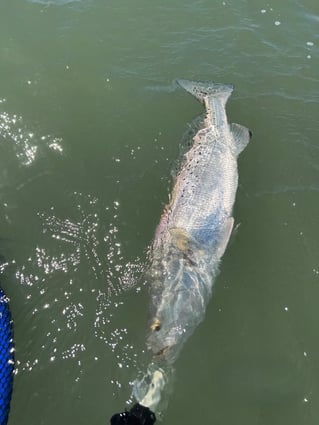 Upper Laguna Madre Inshore