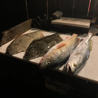 Upper Laguna Madre Inshore