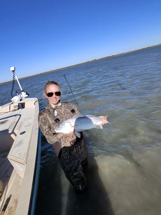 Morning Inshore Bay Fishing