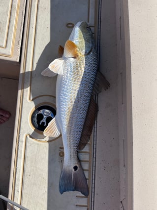 Morning Inshore Bay Fishing