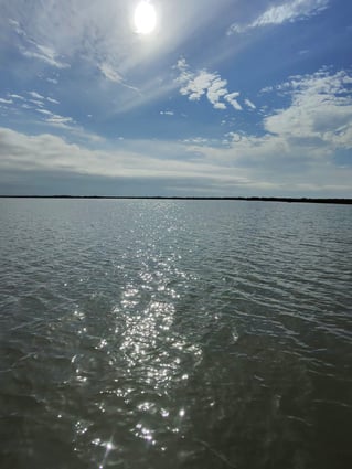 Morning Inshore Bay Fishing