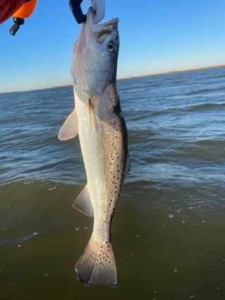 Galveston Bay Fishing Charter