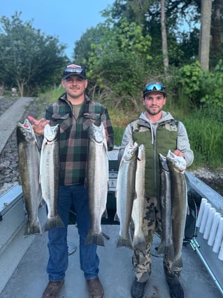 Summer Steelhead 