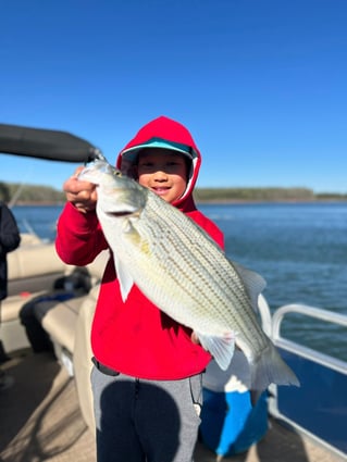 Striper Fishing