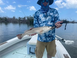 SWFL Fishing