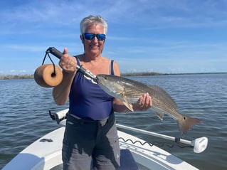 SWFL Fishing