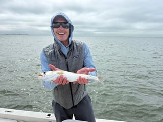 Snook, Redfish & Trout Fishing Trip