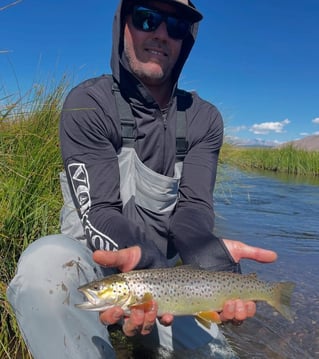 Vcatch And Release Fly Fishing