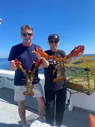 Lobster Tours