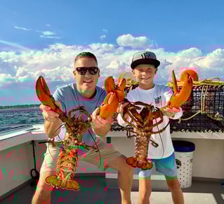 Lobster Tours