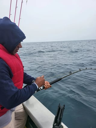 Offshore Halibut Trips