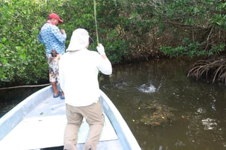 Inshore Fishing Trip