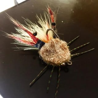 Inshore Fishing Trip